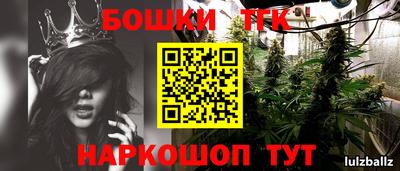 ECSTASY Партизанск