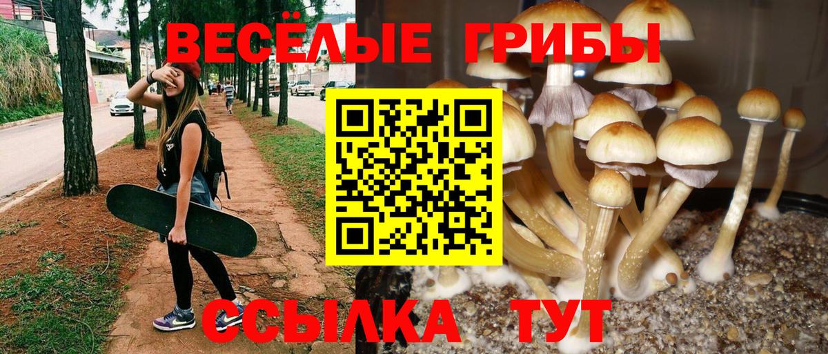 Скопин  Псилоцибиновые грибы прущие грибы  Вход с VPN 