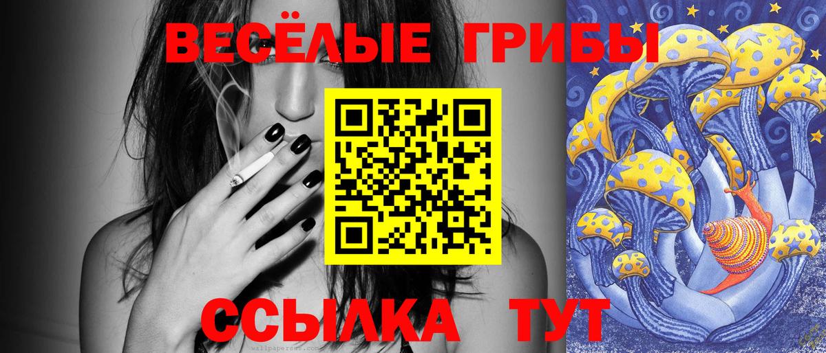 Псилоцибиновые грибы мицелий Скопин